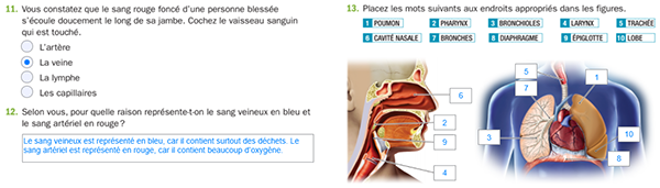 Exercices interactifs